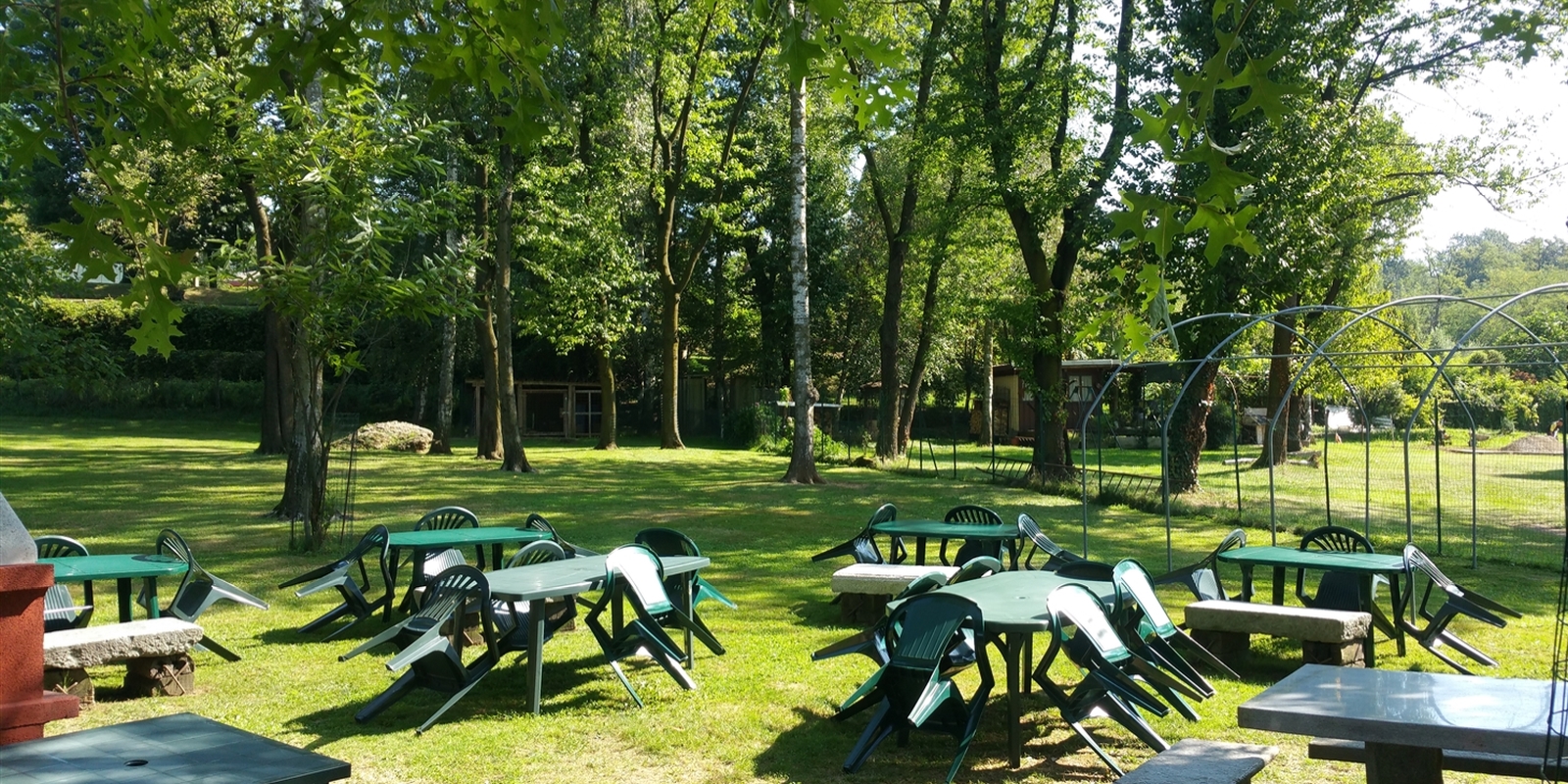 Il bosco di Harry