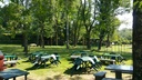 Il bosco di Harry